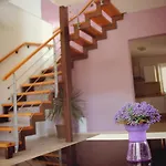 Vila Dravce