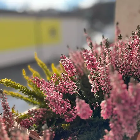 Vila Dravce Dovolenkový dom