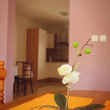 Vila Dravce Szepesdaróc