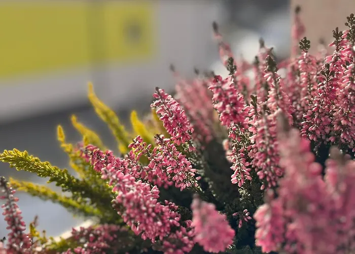 Vila Dravce Dovolenkový dom