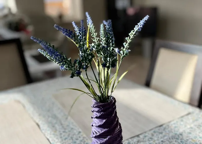 Ferienhaus Vila Dravce Dravce